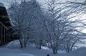 20071228_093457 D2X F